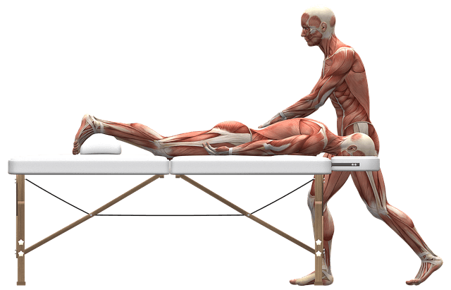 difference-between-pt-and-ot